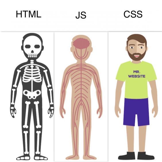 Structure d'une page web